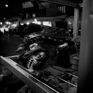 eating a dog meat meal in Hanoi, Vietnam