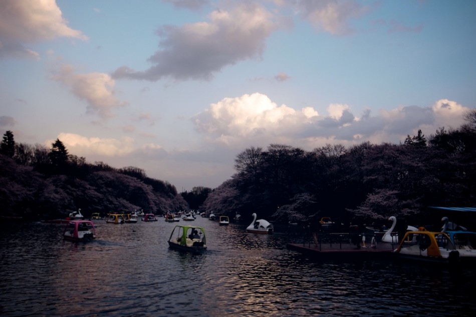22 - Hanami sur l'eau, Tokyo