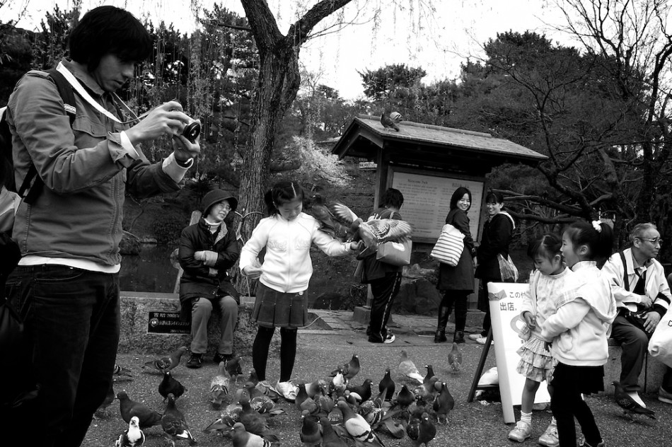 4 - Lorsqu'il y a plein de pigeons et un gamin devant toi... sois patient, ça paye.